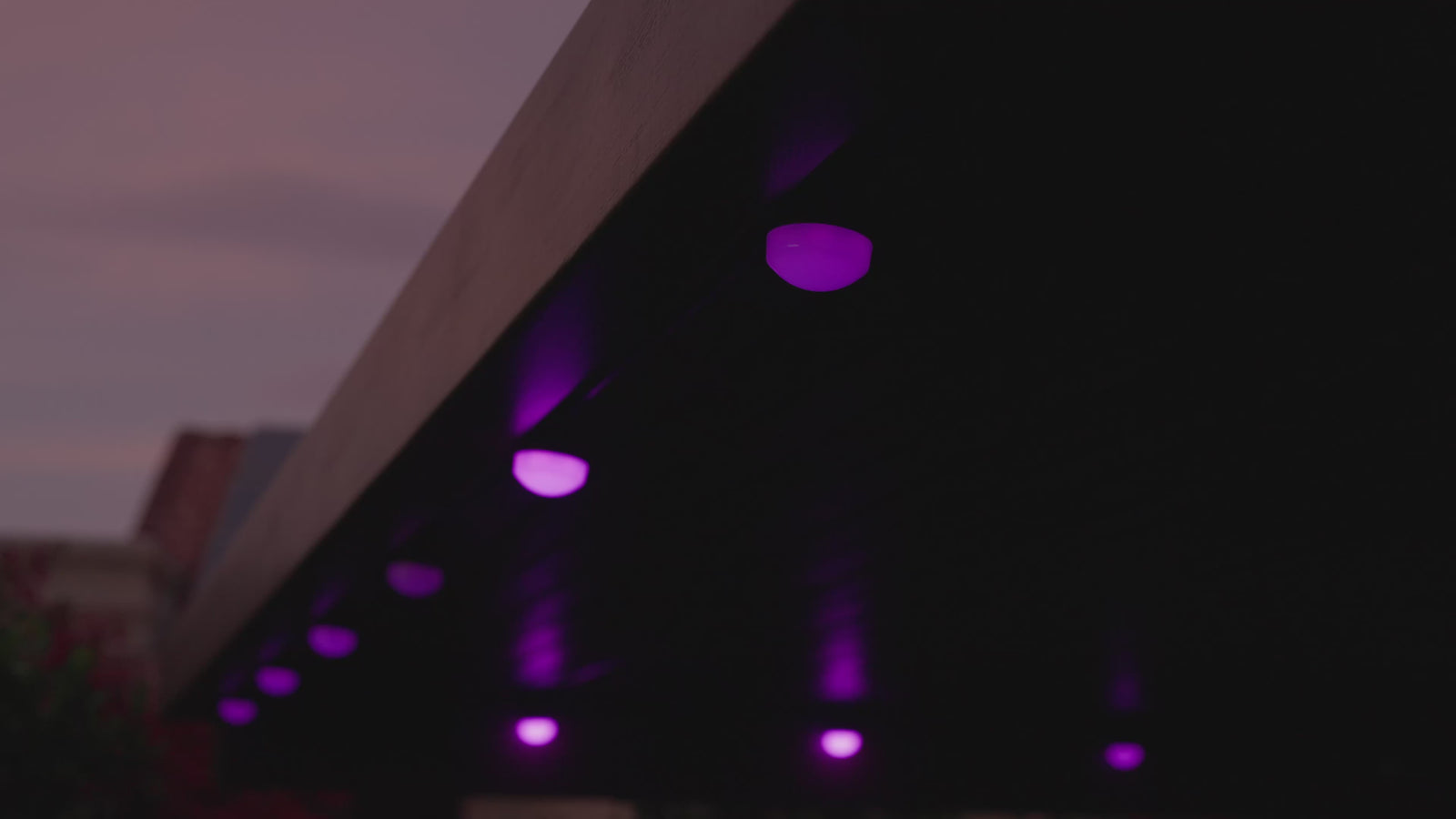 Backyard ambiance video featuring NovaSync smart lighting installation