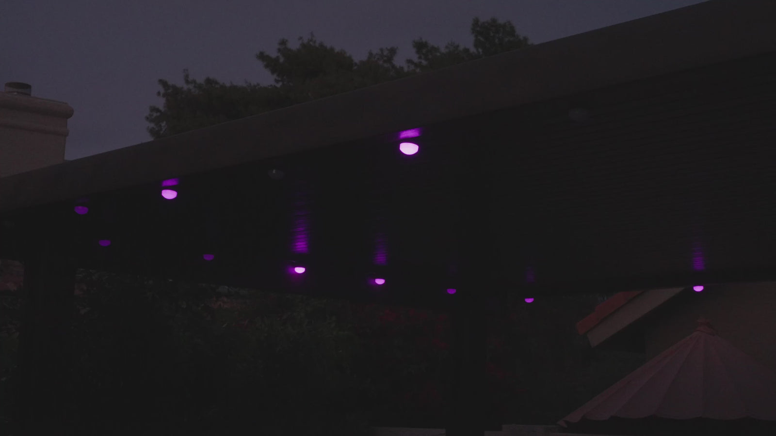 Video background showing NovaSync outdoor RGB lighting effects at night